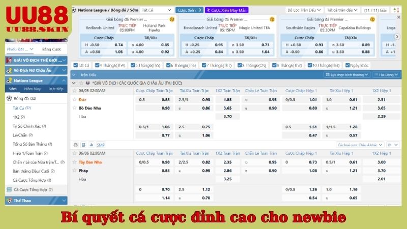 Bí quyết cá cược đỉnh cao cho newbie
