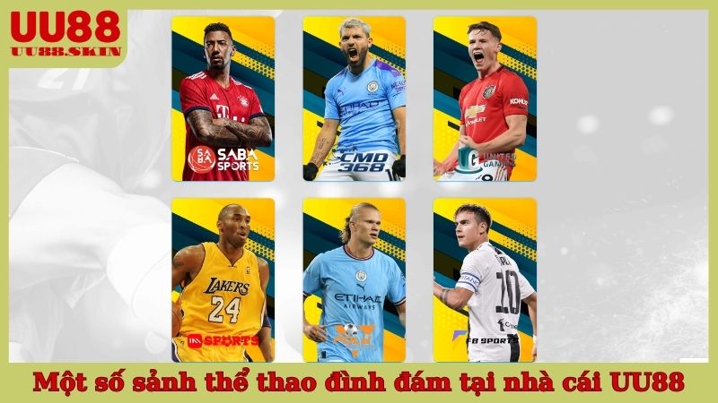 Một số sảnh thể thao đình đám tại nhà cái UU88