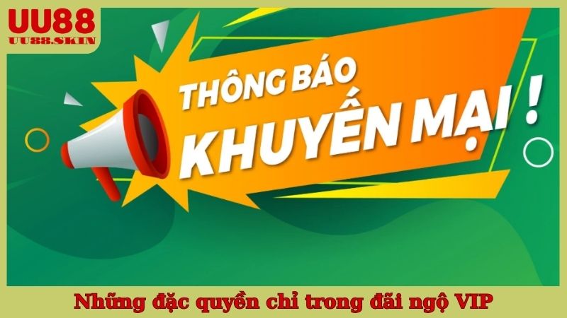 Những đặc quyền chỉ trong đãi ngộ VIP