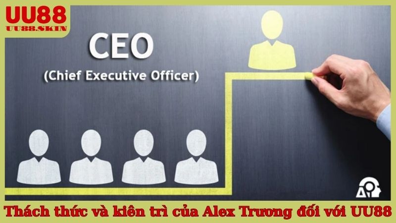 Thách thức và kiên trì của Alex Trương đối với UU88